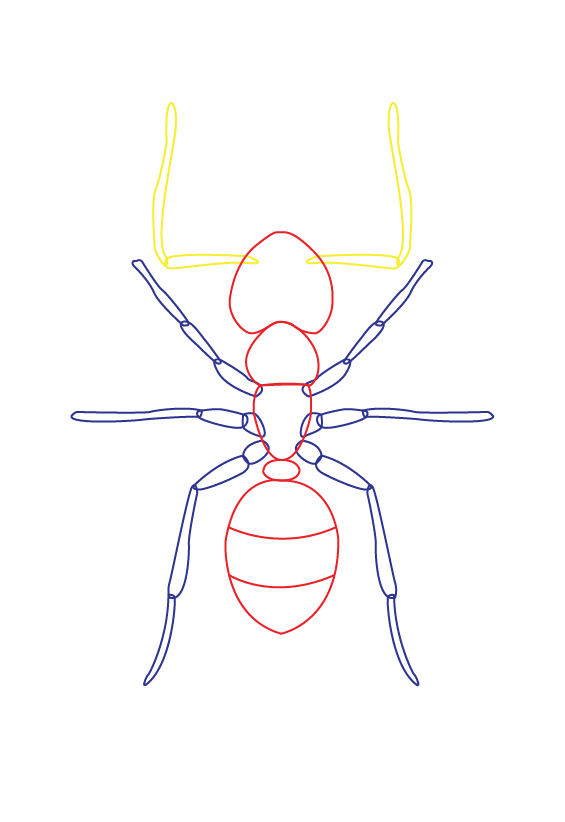 Rainbow_hygiene_Illustration_ANT-04
