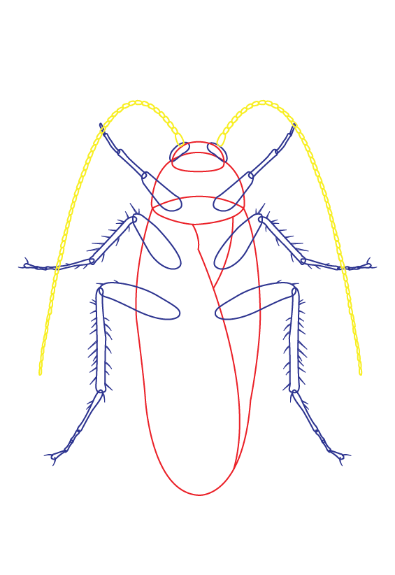 Rainbow_hygiene_Illustration_Cockroach-06