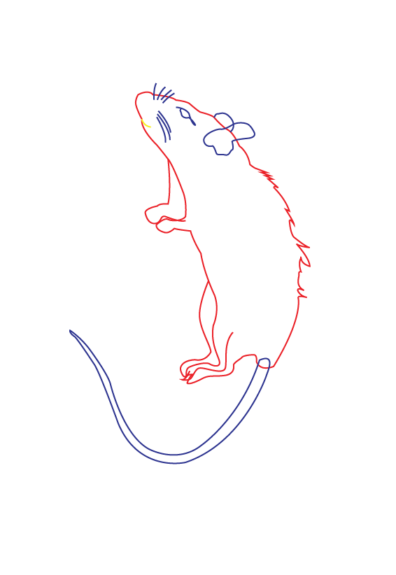 Rainbow_hygiene_Illustration_Rats-10